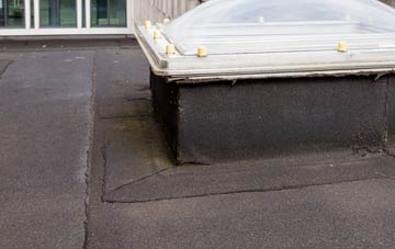 disadvantages of Seaton Ross flat roofs
