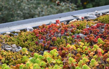 the cost of Seaton Ross green roof installation