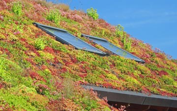 Seaton Ross living roof systems