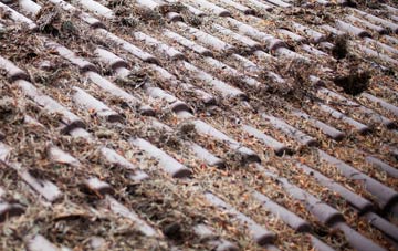 Seaton Ross roof cleaning companies